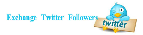 Add Twitter Followers
